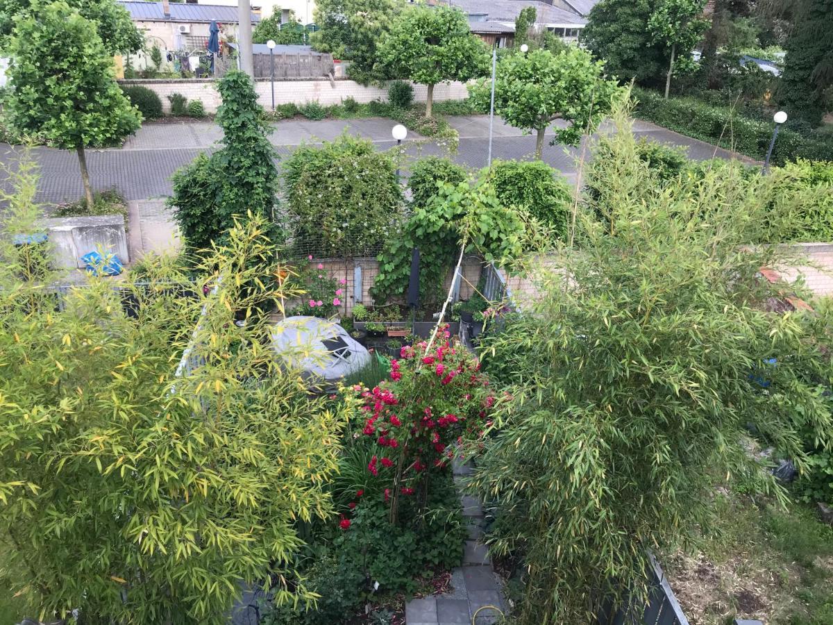 Apartment Mit Dachloggia ซาร์ลุย ภายนอก รูปภาพ