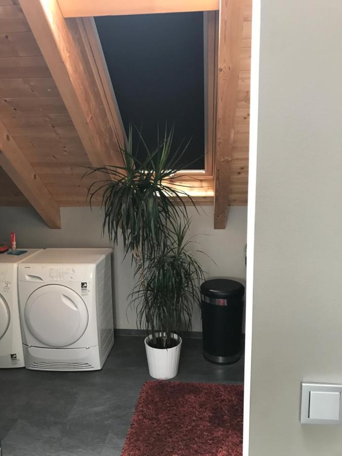 Apartment Mit Dachloggia ซาร์ลุย ภายนอก รูปภาพ